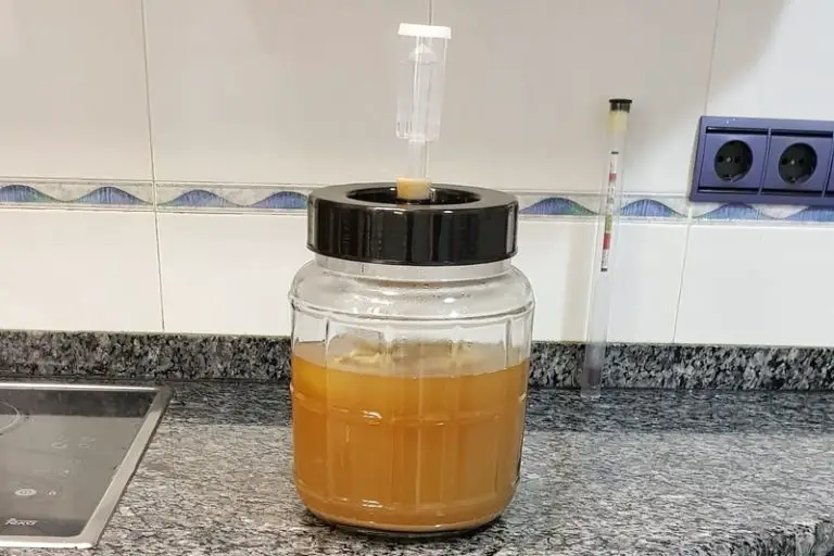 Primary and Secondary Fermentation: What's the Difference? - SeconDary Fermentation Neipa 768x512